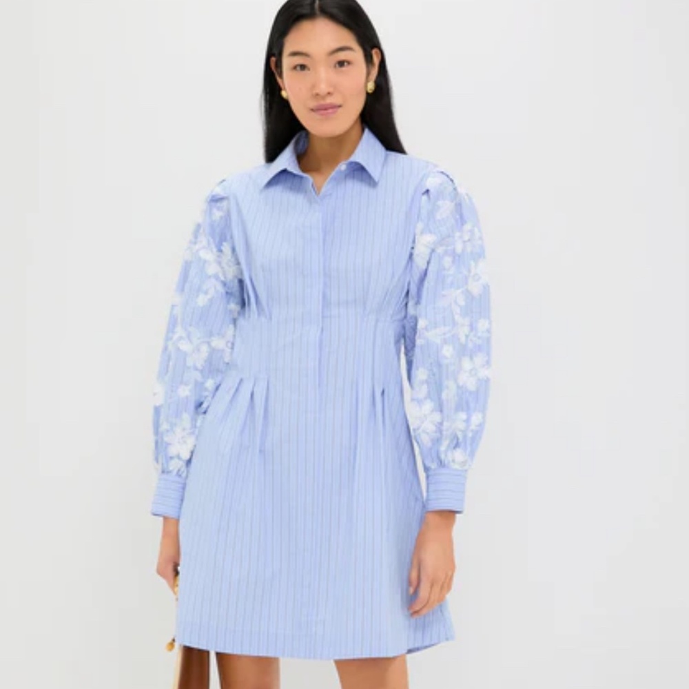 Tuckernuck - Blue Stripe Embroidery Mini Corinne Dress